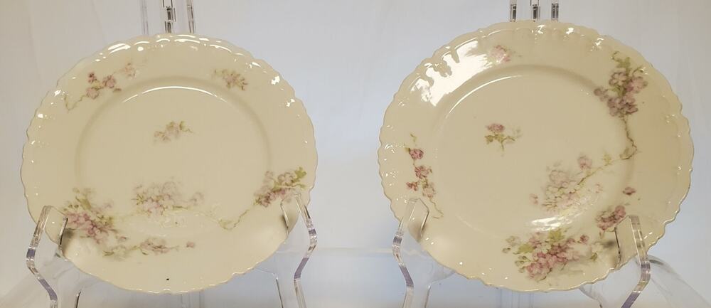 Antique Vintage Austrian Habsburg China Decorative Salad Plate Set of 2 Floral